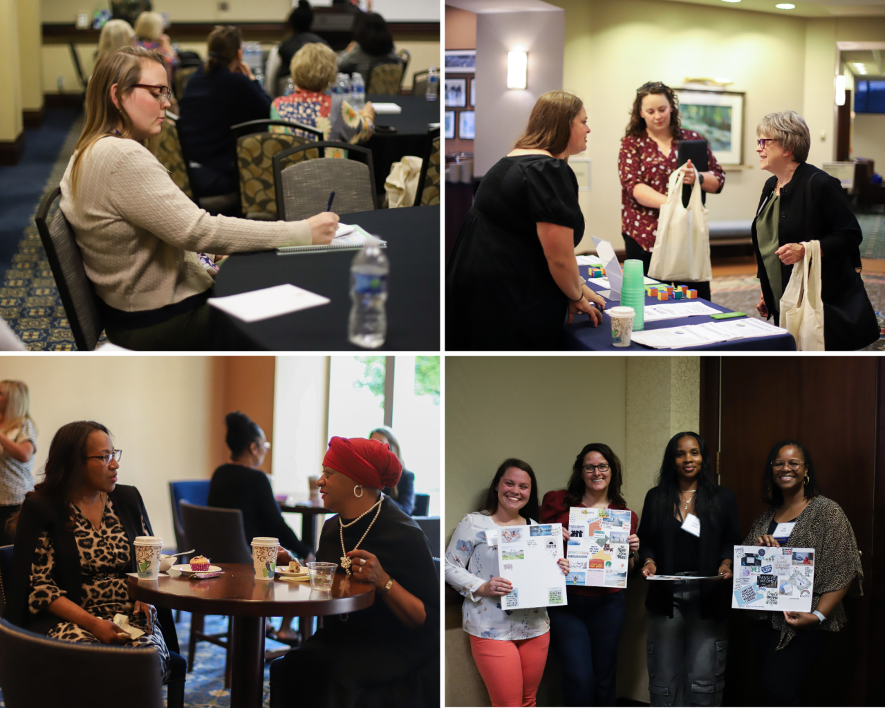 Womens Summit Photo Collage